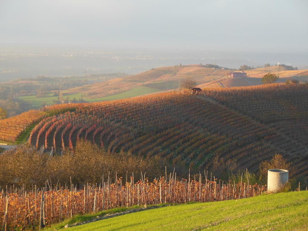 Agriturismo Affittacamere Barbarossa Dogliani Eksteriør billede