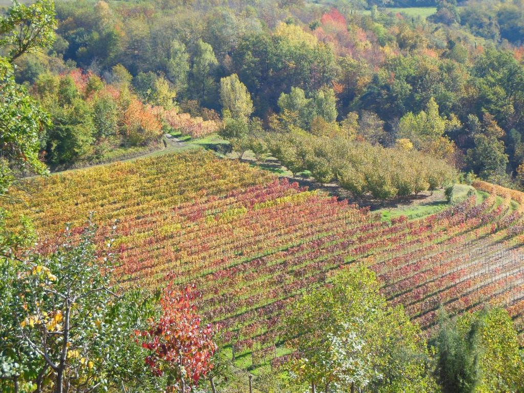 Agriturismo Affittacamere Barbarossa Dogliani Eksteriør billede