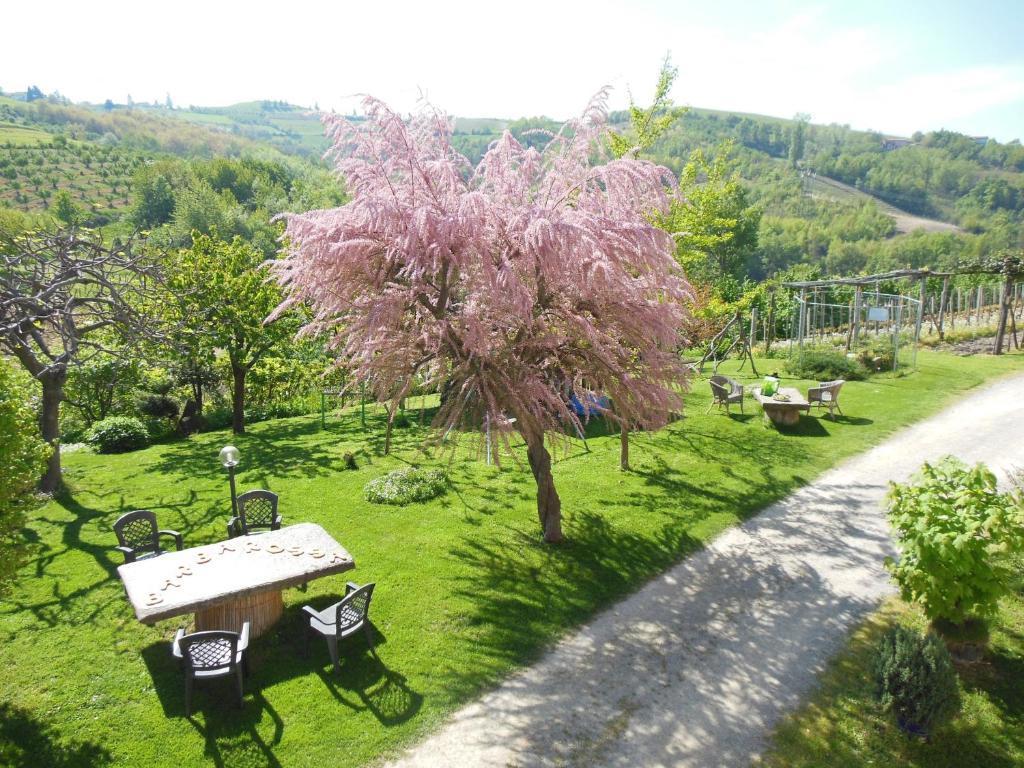 Agriturismo Affittacamere Barbarossa Dogliani Eksteriør billede