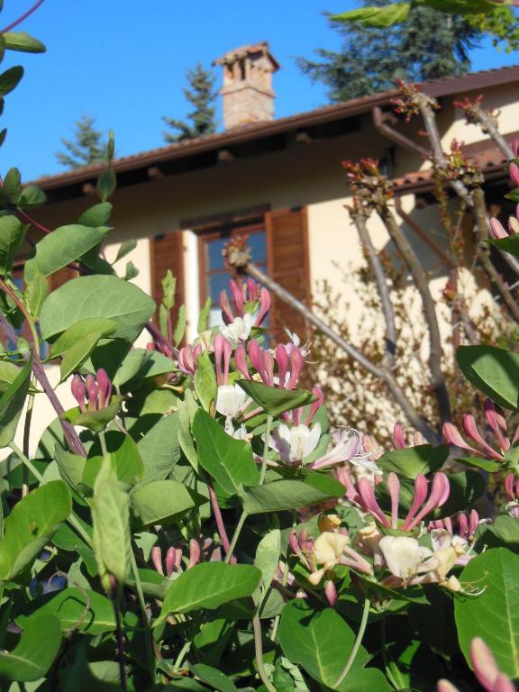 Agriturismo Affittacamere Barbarossa Dogliani Eksteriør billede