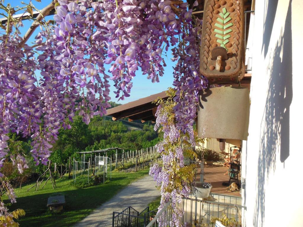 Agriturismo Affittacamere Barbarossa Dogliani Eksteriør billede